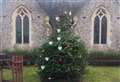 Town tree to remember lost loved ones at Christmas set to go up