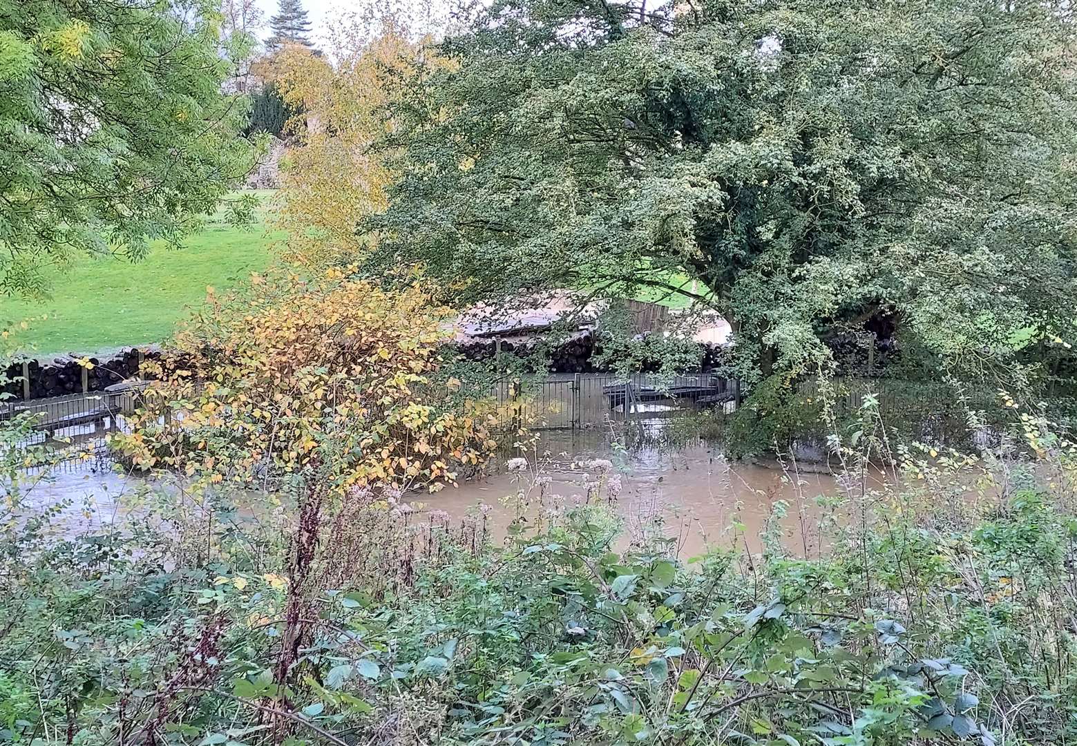 The River Lark runs alongside the popular Abbey Gardens. Picture: Mariam Ghaemi