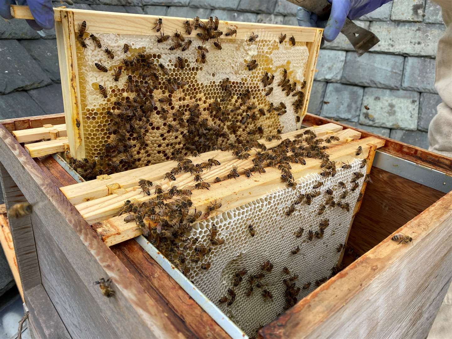 The honey comes in runny and softset. Picture: St Edmundsbury Cathedral