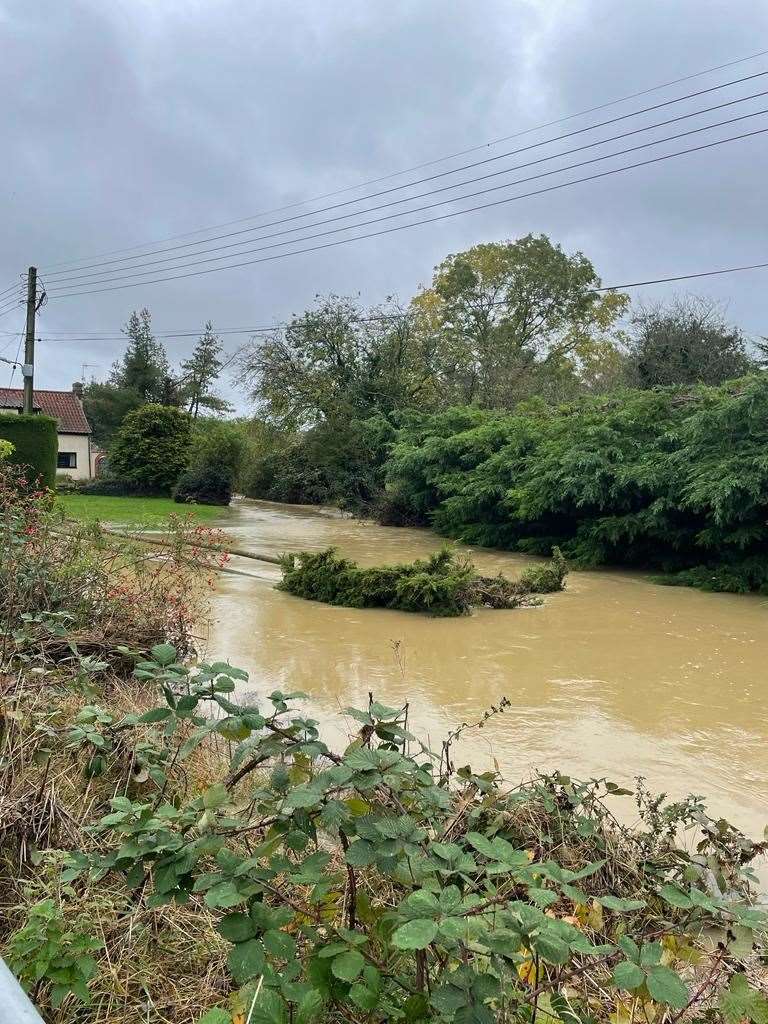 The River Deben flowing aggressively, with a tree collapsed in the middle of it. Picture: Derry Hart