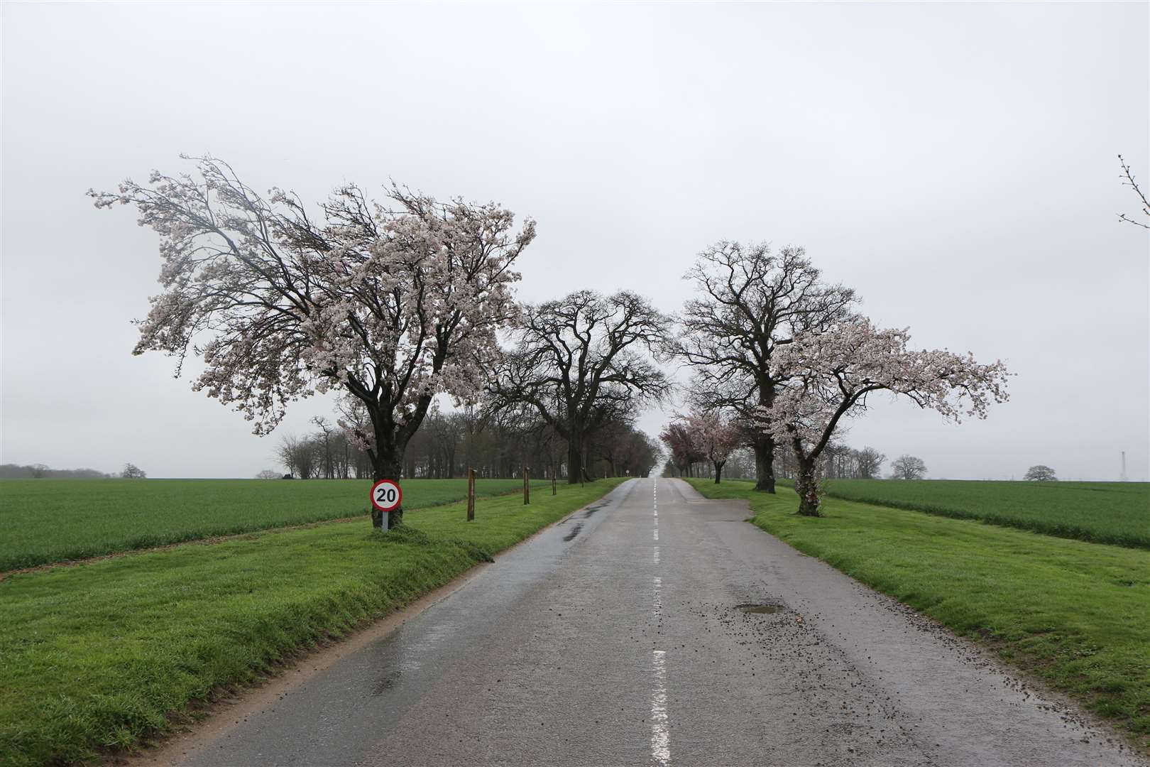 The driveway to the business court and B&B