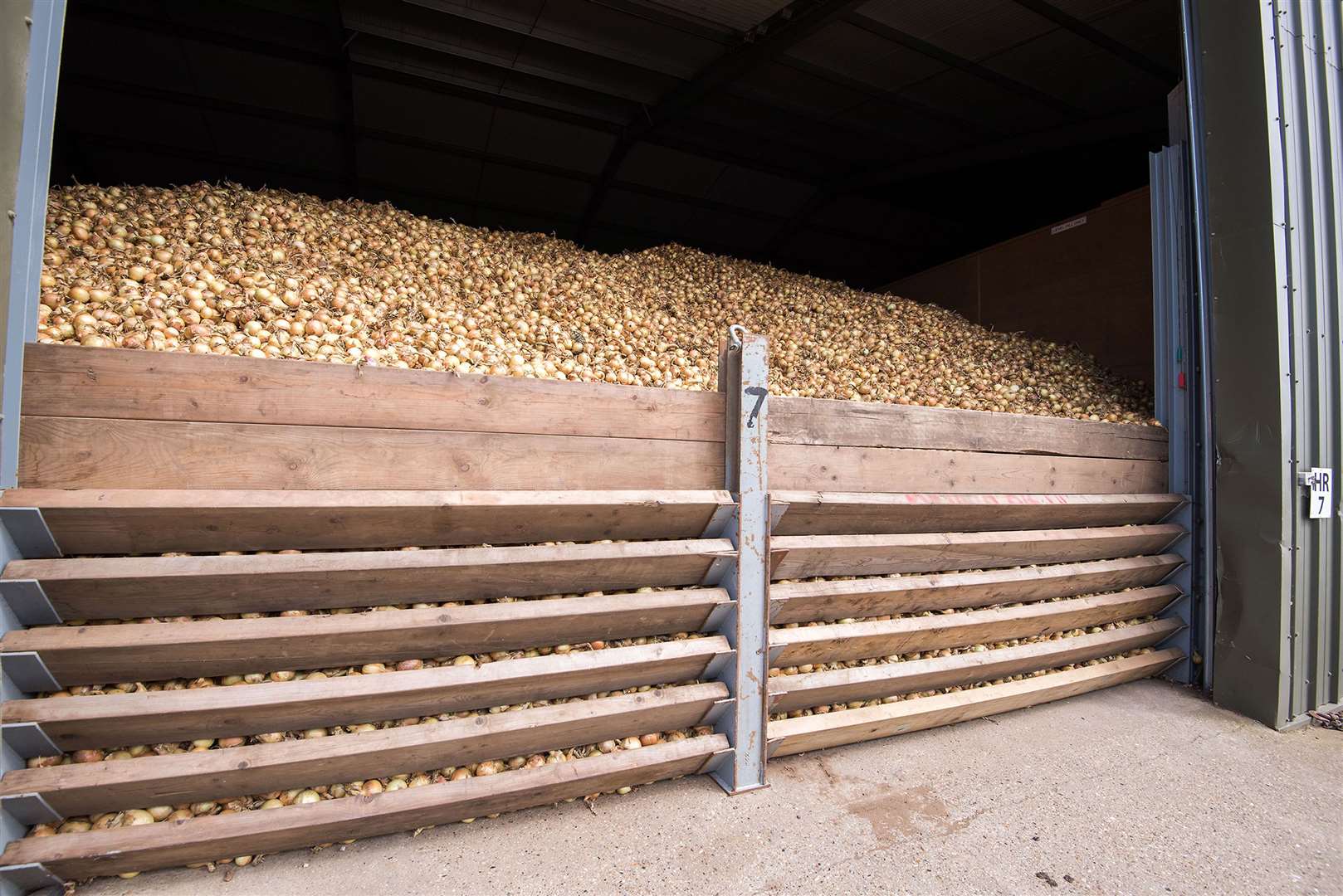 Hall Farm, Fornham St Martin, .Ben Robinson farming feature.Picture by Mark Westley.