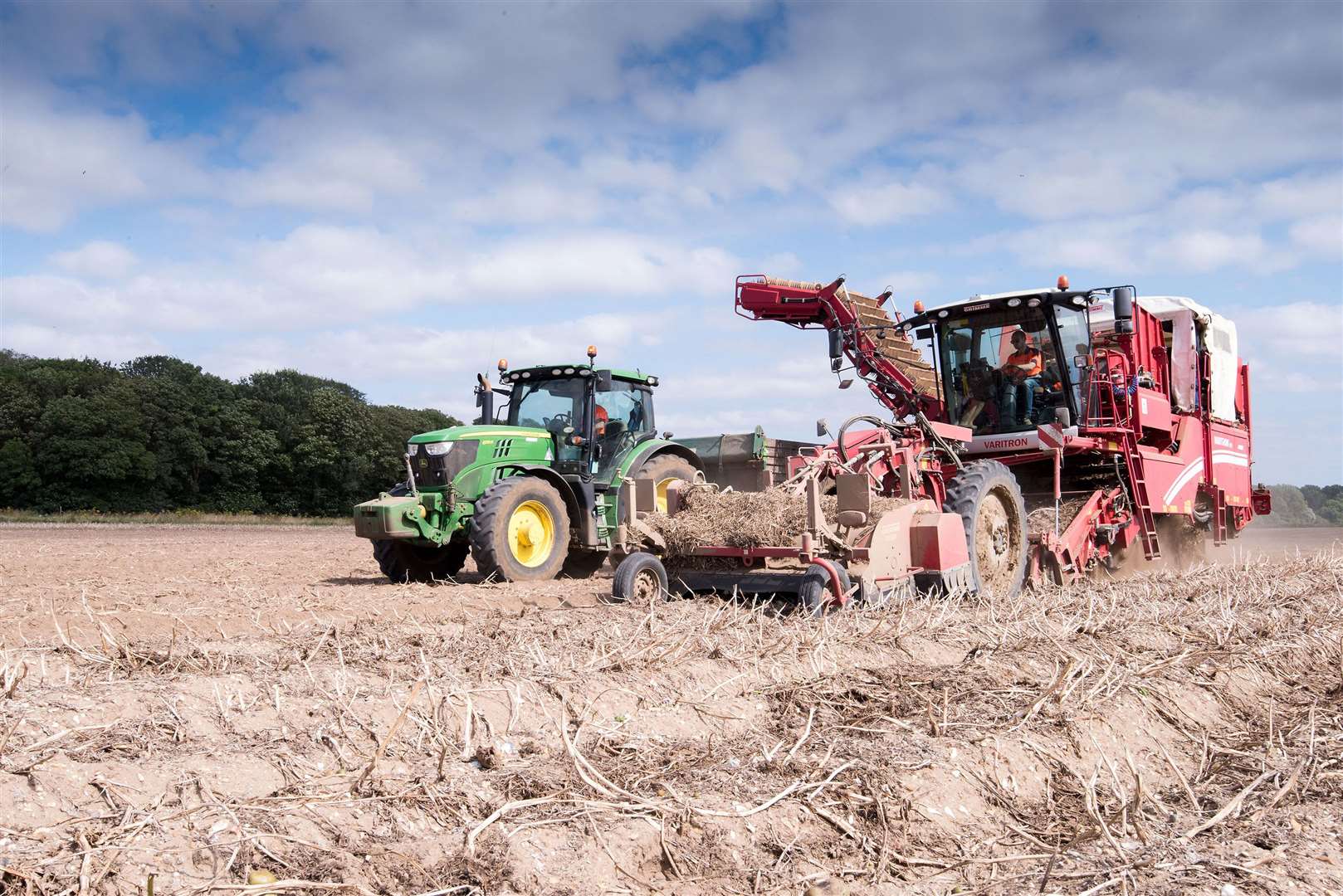 Hall Farm, Fornham St Martin, .Ben Robinson farming feature.Picture by Mark Westley.