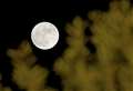 Harvest Moon: Final supermoon of 2023 to rise over Suffolk this week