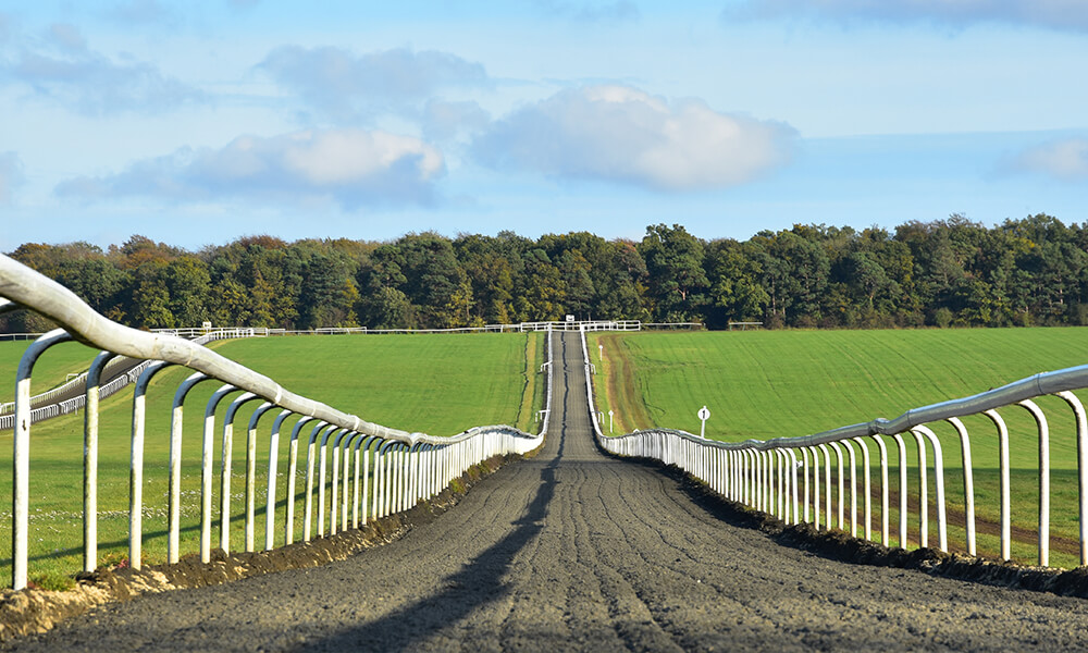 Newmarket Race Course