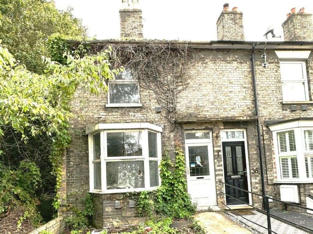 A view of the overgrown shrubbery outside the front of 38 Fornham Road, in Bury St Edmunds. Picture: Auction House East Anglia