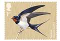 New Royal Mail stamps expected to be snapped up by collectors 