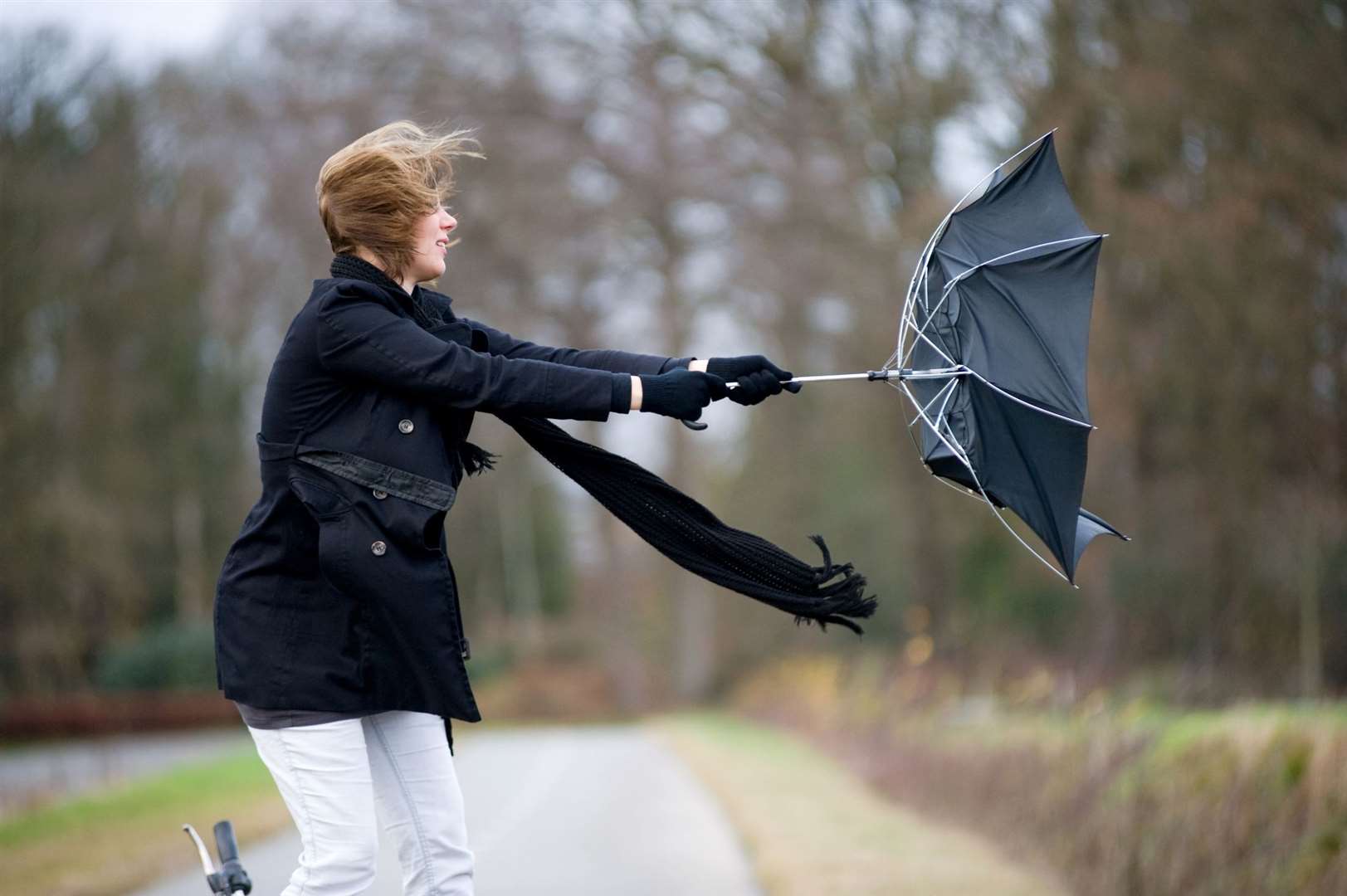 Northern Suffolk, including Bury St Edmunds, Newmarket and Diss, is set to be battered by Storm Pia tomorrow: Picture: iStock